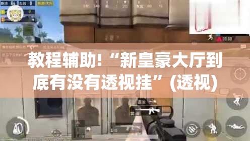 教程辅助!“新皇豪大厅到底有没有透视挂”(透视)其实确实有挂