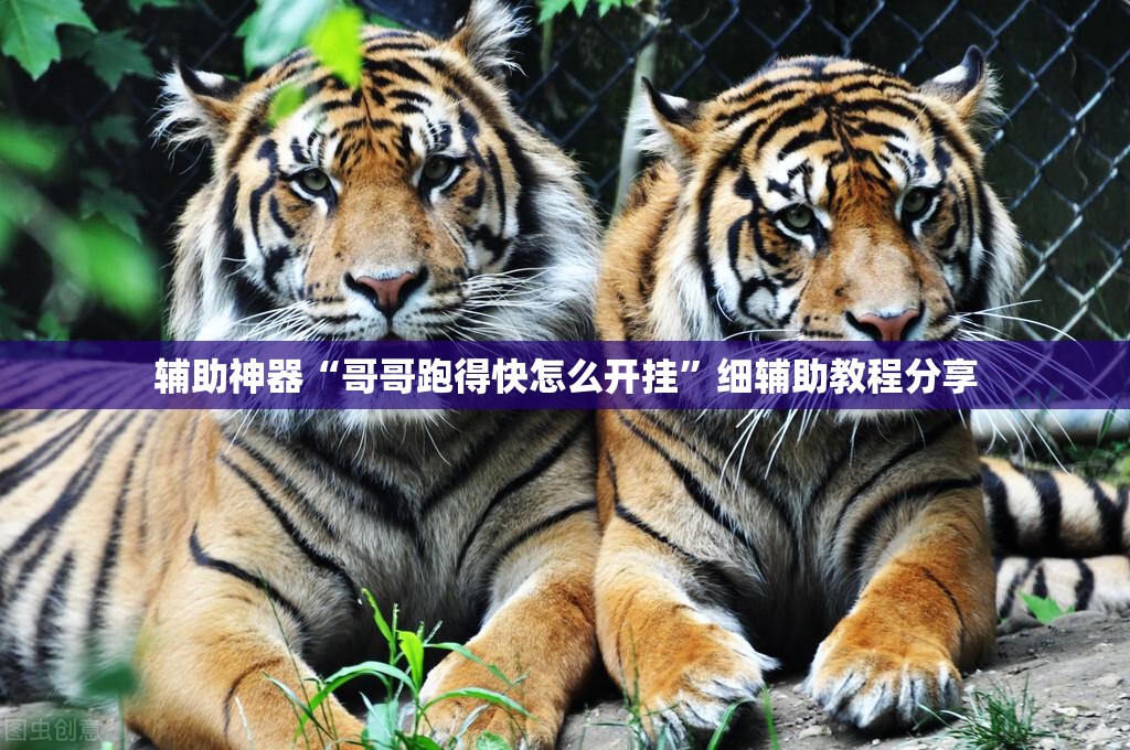 辅助神器“哥哥跑得快怎么开挂”细辅助教程分享