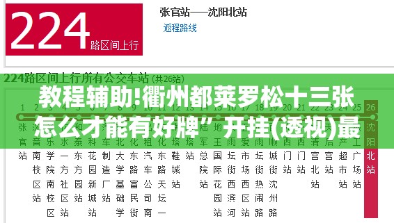 教程辅助!衢州都莱罗松十三张怎么才能有好牌”开挂(透视)最新辅助详细
