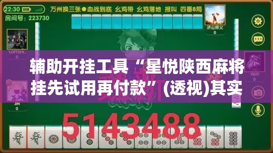 辅助开挂工具“星悦陕西麻将挂先试用再付款”(透视)其实确实有挂