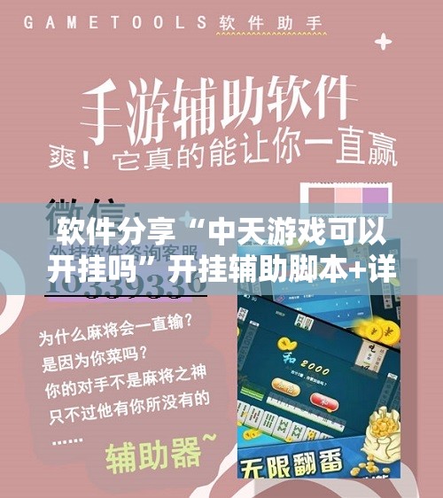 软件分享“中天游戏可以开挂吗”开挂辅助脚本+详细开挂安装教程