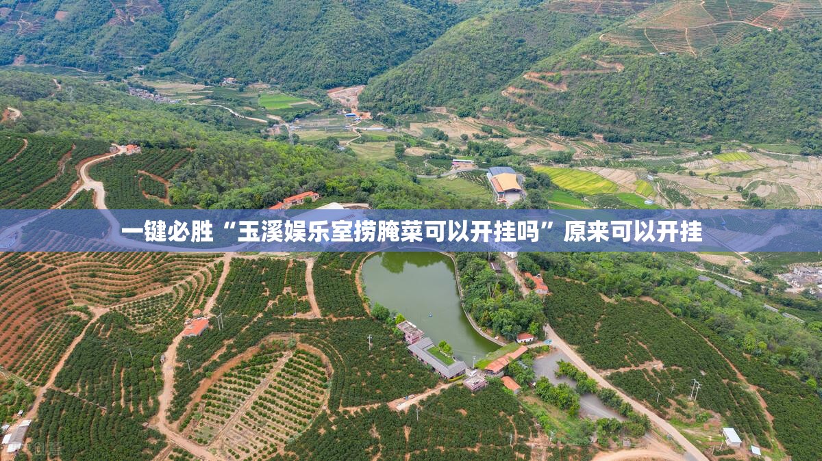 一键必胜“玉溪娱乐室捞腌菜可以开挂吗”原来可以开挂