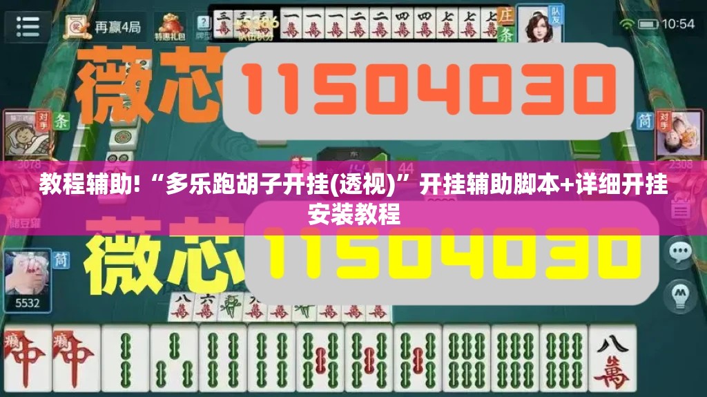 教程辅助!“多乐跑胡子开挂(透视)”开挂辅助脚本+详细开挂安装教程