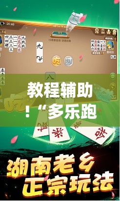 教程辅助!“多乐跑胡子开挂(透视)”开挂辅助脚本+详细开挂安装教程