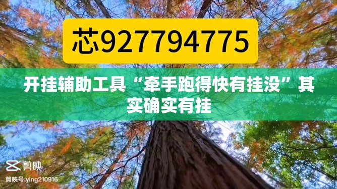 开挂辅助工具“牵手跑得快有挂没	”其实确实有挂