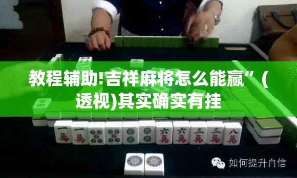 教程辅助!吉祥麻将怎么能赢”(透视)其实确实有挂