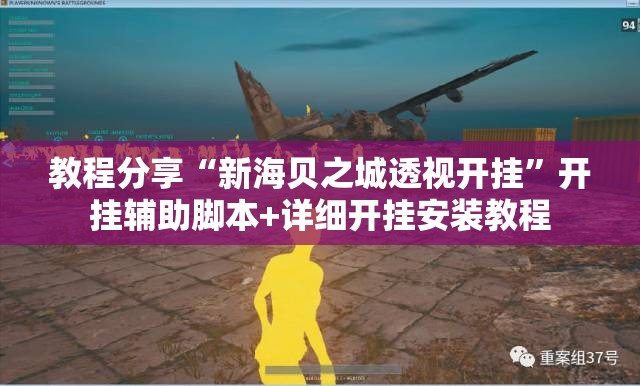 教程分享“新海贝之城透视开挂	”开挂辅助脚本+详细开挂安装教程