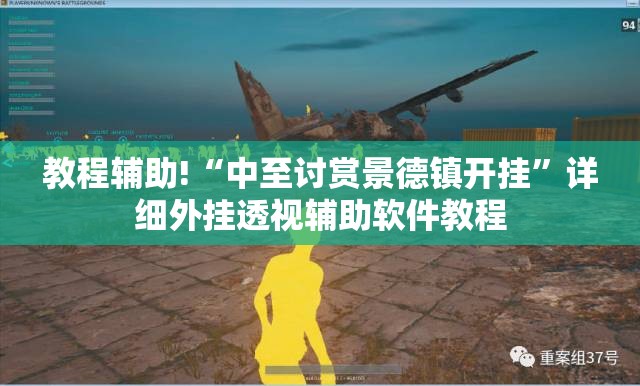 教程辅助!“中至讨赏景德镇开挂”详细外挂透视辅助软件教程