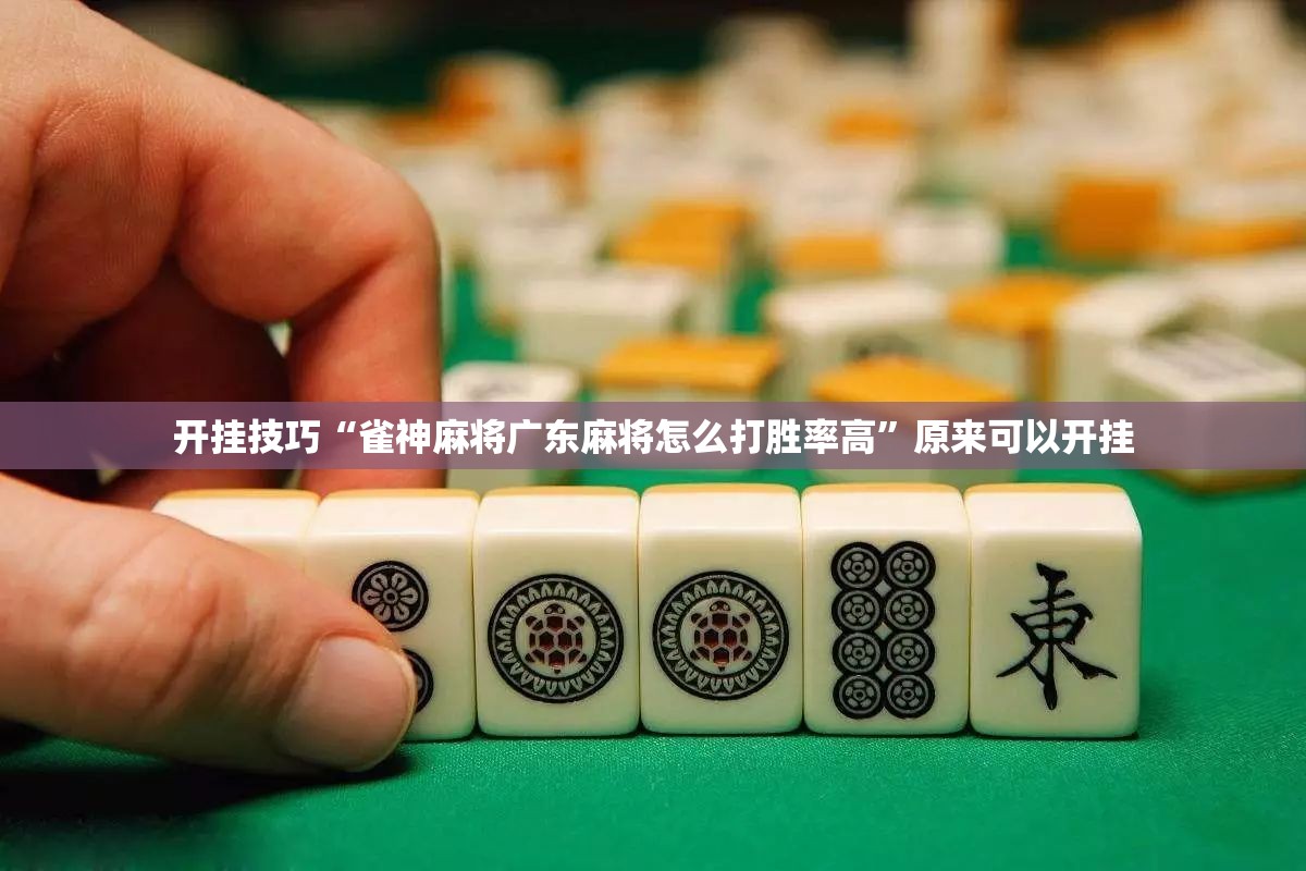 开挂技巧“雀神麻将广东麻将怎么打胜率高	”原来可以开挂