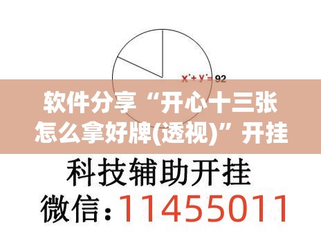 软件分享“开心十三张怎么拿好牌(透视)”开挂辅助脚本+详细开挂安装教程