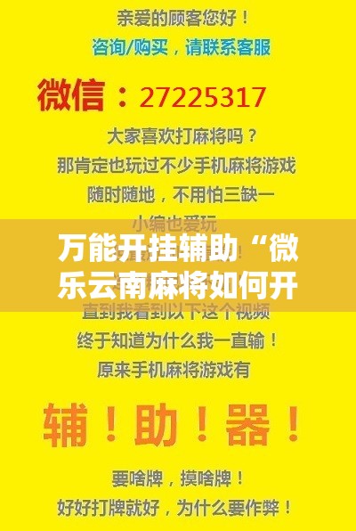 万能开挂辅助“微乐云南麻将如何开挂	”开挂详细教程
