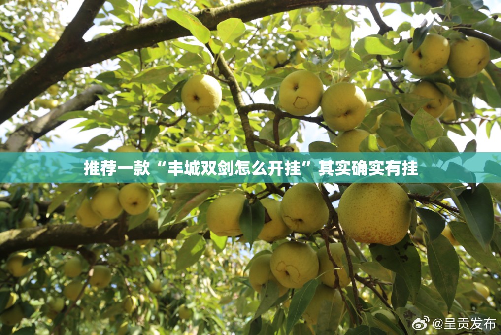 推荐一款“丰城双剑怎么开挂”其实确实有挂