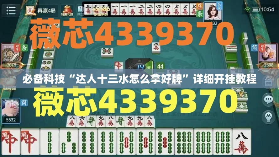 必备科技“达人十三水怎么拿好牌	”详细开挂教程