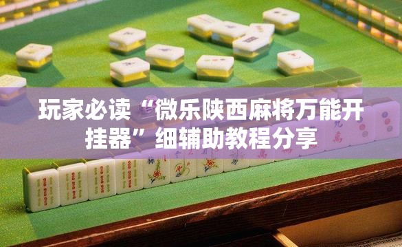 玩家必读“微乐陕西麻将万能开挂器”细辅助教程分享