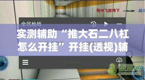 实测辅助“推大石二八杠怎么开挂”开挂(透视)辅助教程
