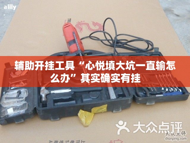 辅助开挂工具“心悦填大坑一直输怎么办”其实确实有挂