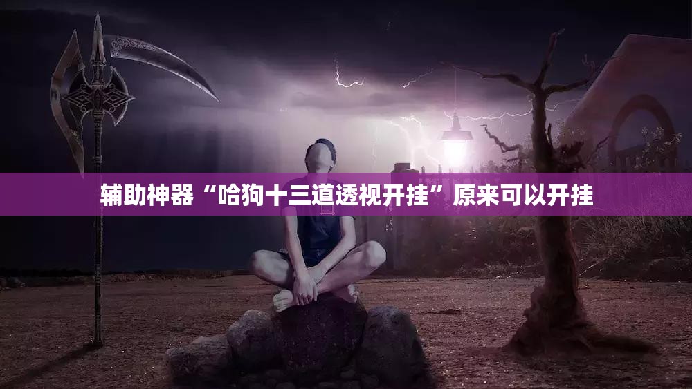 辅助神器“哈狗十三道透视开挂”原来可以开挂