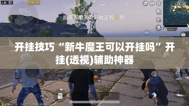 开挂技巧“新牛魔王可以开挂吗	”开挂(透视)辅助神器