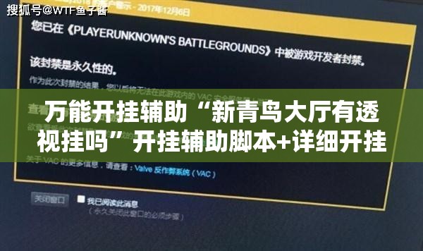 万能开挂辅助“新青鸟大厅有透视挂吗”开挂辅助脚本+详细开挂安装教程