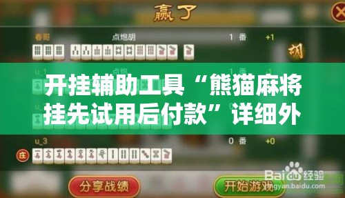 开挂辅助工具“熊猫麻将挂先试用后付款”详细外挂透视辅助软件教程