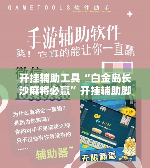 开挂辅助工具“白金岛长沙麻将必赢	”开挂辅助脚本+详细开挂安装教程
