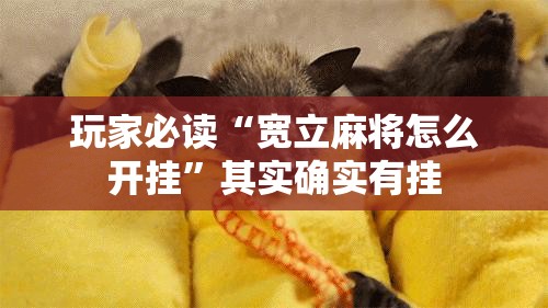 玩家必读“宽立麻将怎么开挂”其实确实有挂