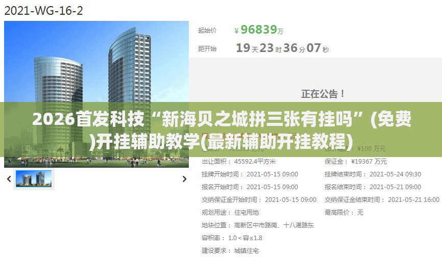 2026首发科技“新海贝之城拼三张有挂吗	”(免费)开挂辅助教学(最新辅助开挂教程)