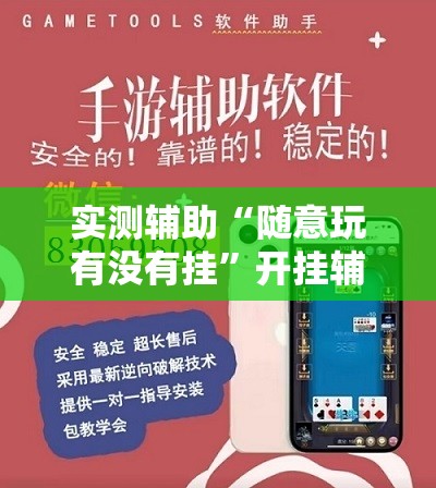 实测辅助“随意玩有没有挂”开挂辅助脚本+详细开挂安装教程