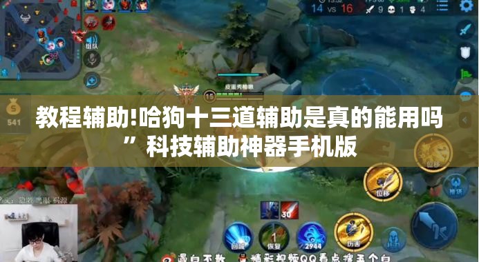 教程辅助!哈狗十三道辅助是真的能用吗”科技辅助神器手机版