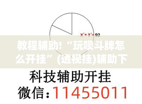 教程辅助!“玩呗斗牌怎么开挂”(透视挂)辅助下载教程
