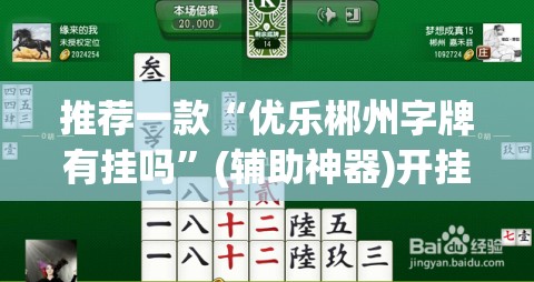 推荐一款“优乐郴州字牌有挂吗”(辅助神器)开挂详细教程