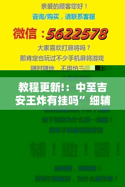 教程更新!：中至吉安王炸有挂吗”细辅助教程分享