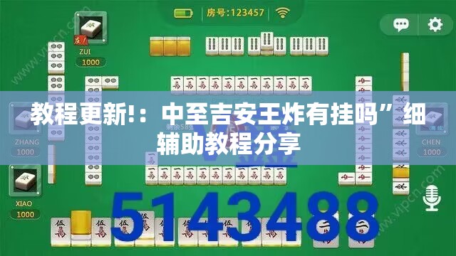 教程更新!：中至吉安王炸有挂吗”细辅助教程分享