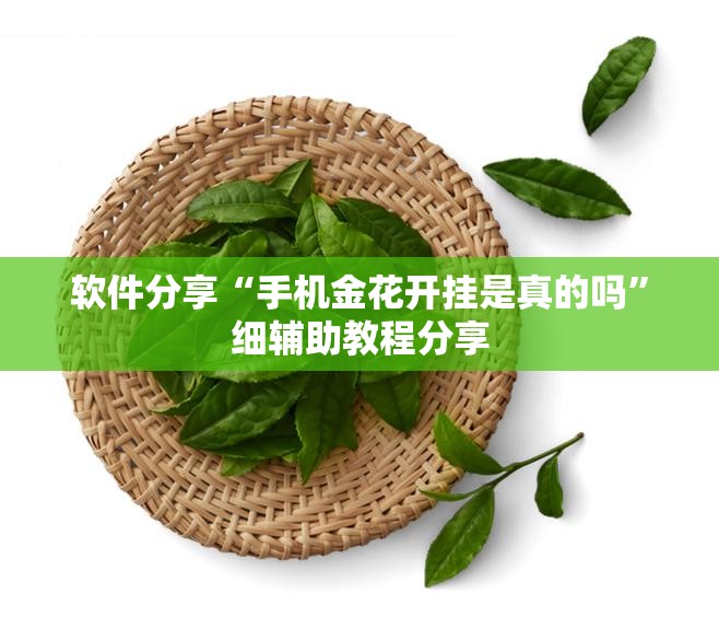软件分享“手机金花开挂是真的吗	”细辅助教程分享