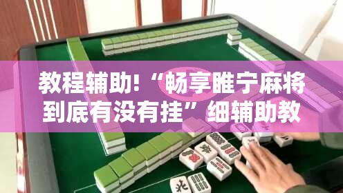教程辅助!“畅享睢宁麻将到底有没有挂”细辅助教程分享