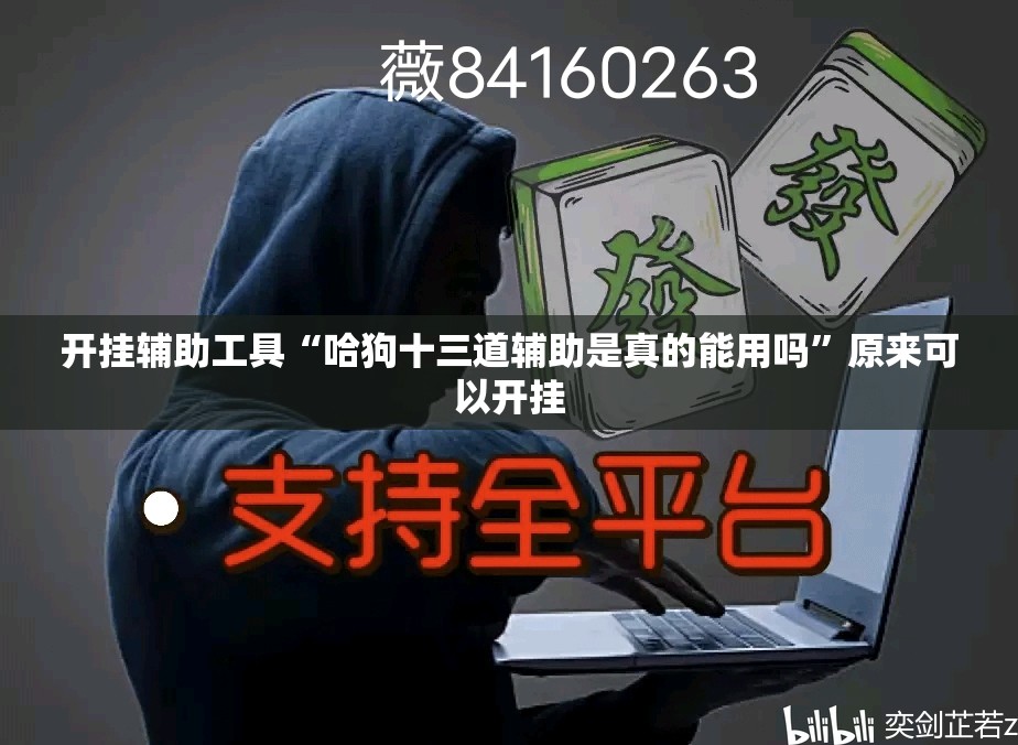 开挂辅助工具“哈狗十三道辅助是真的能用吗	”原来可以开挂