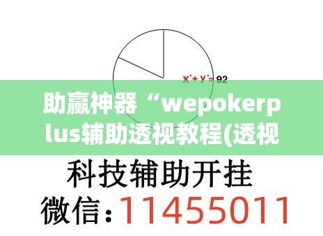 助赢神器“wepokerplus辅助透视教程(透视)”开挂辅助脚本+详细开挂安装教程