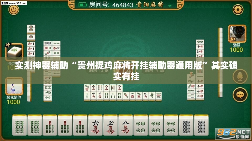 实测神器辅助“贵州捉鸡麻将开挂辅助器通用版”其实确实有挂
