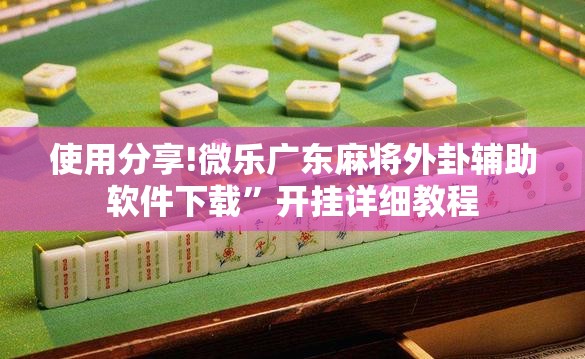 使用分享!微乐广东麻将外卦辅助软件下载”开挂详细教程