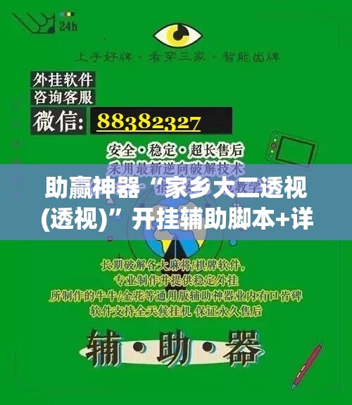 助赢神器“家乡大二透视(透视)”开挂辅助脚本+详细开挂安装教程