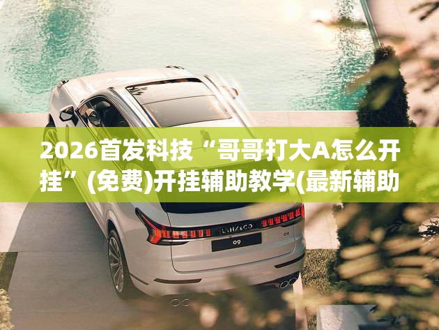 2026首发科技“哥哥打大A怎么开挂	”(免费)开挂辅助教学(最新辅助开挂教程)