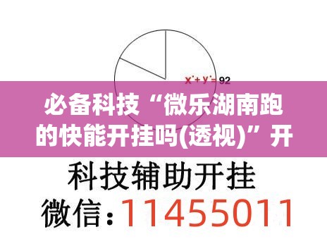 必备科技“微乐湖南跑的快能开挂吗(透视)”开挂辅助脚本+详细开挂安装教程