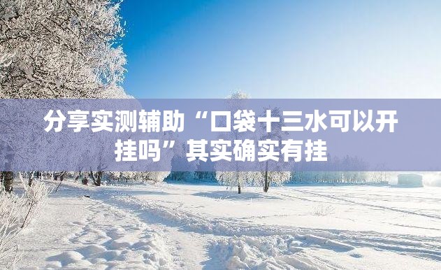 分享实测辅助“口袋十三水可以开挂吗”其实确实有挂