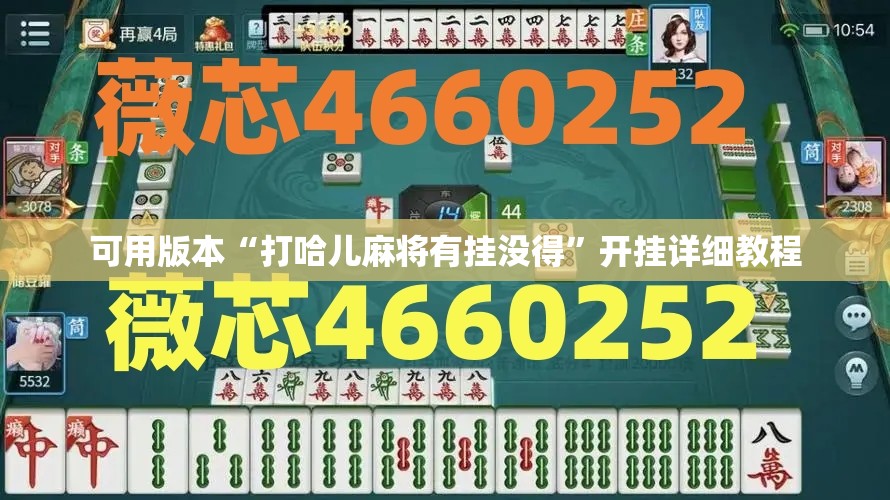 可用版本“打哈儿麻将有挂没得”开挂详细教程