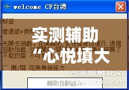 实测辅助“心悦填大坑辅助”详细外挂透视辅助软件教程