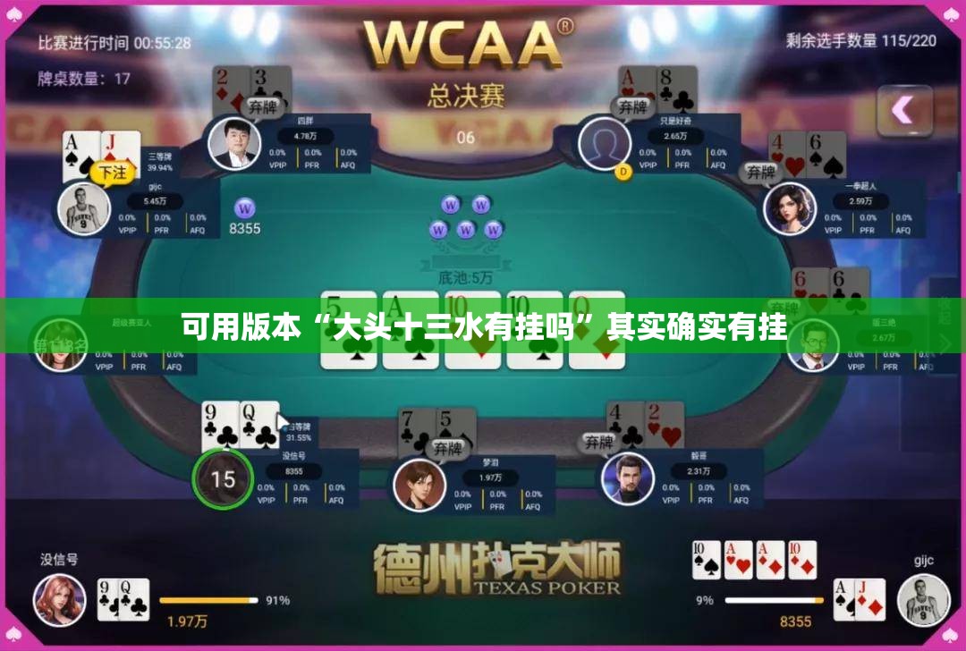 可用版本“大头十三水有挂吗	”其实确实有挂