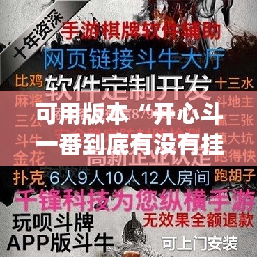 可用版本“开心斗一番到底有没有挂”(透视挂)辅助下载教程