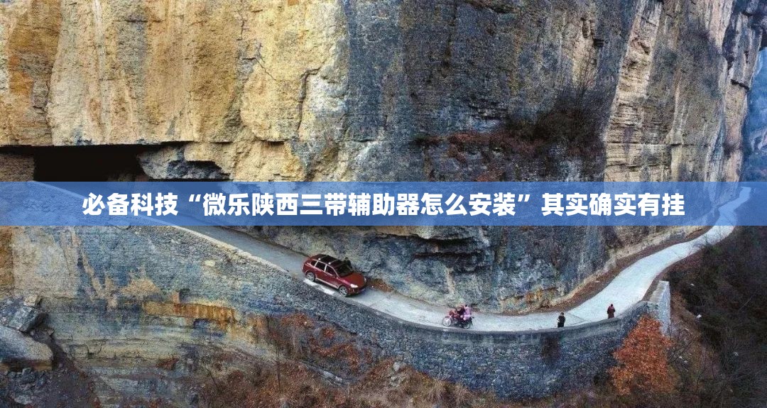必备科技“微乐陕西三带辅助器怎么安装”其实确实有挂