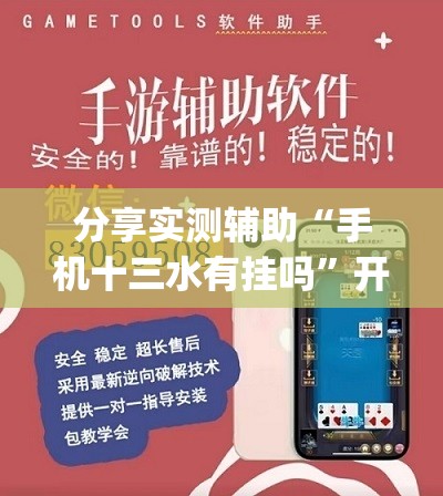 分享实测辅助“手机十三水有挂吗”开挂(透视)辅助教程