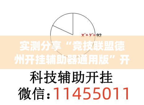 实测分享“竞技联盟德州开挂辅助器通用版”开挂(透视)辅助教程